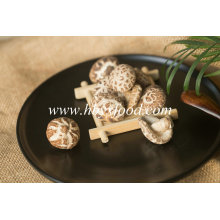 Yongxing Food Autumn Plant Brands Tea Flower Mushroom